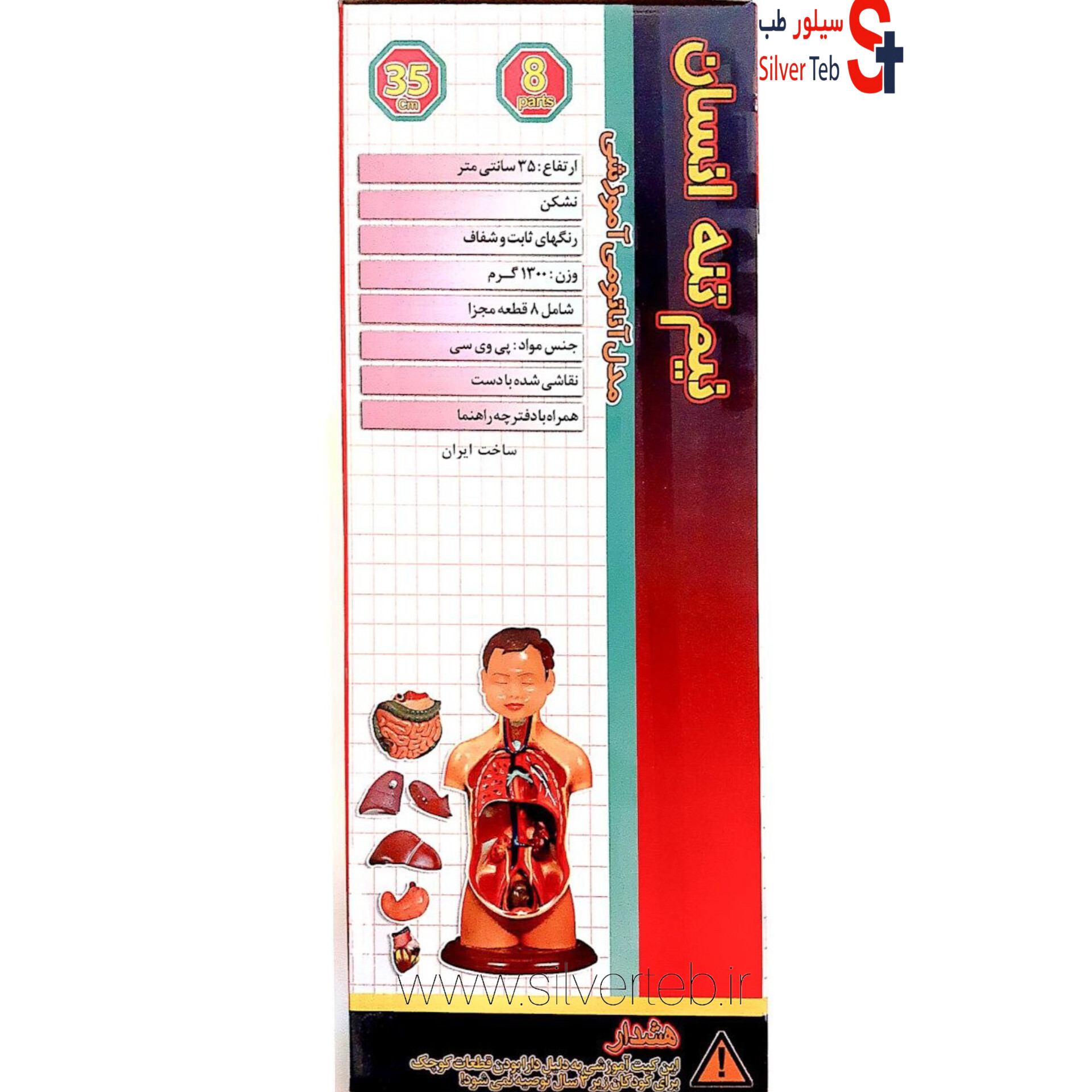 مولاژ نیم تنه انسان ۸ تکه عروسکی - تصویر 9
